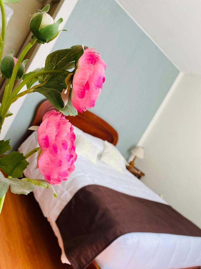 Helena De Santa Maria Hotel Арекуипа Екстериор снимка