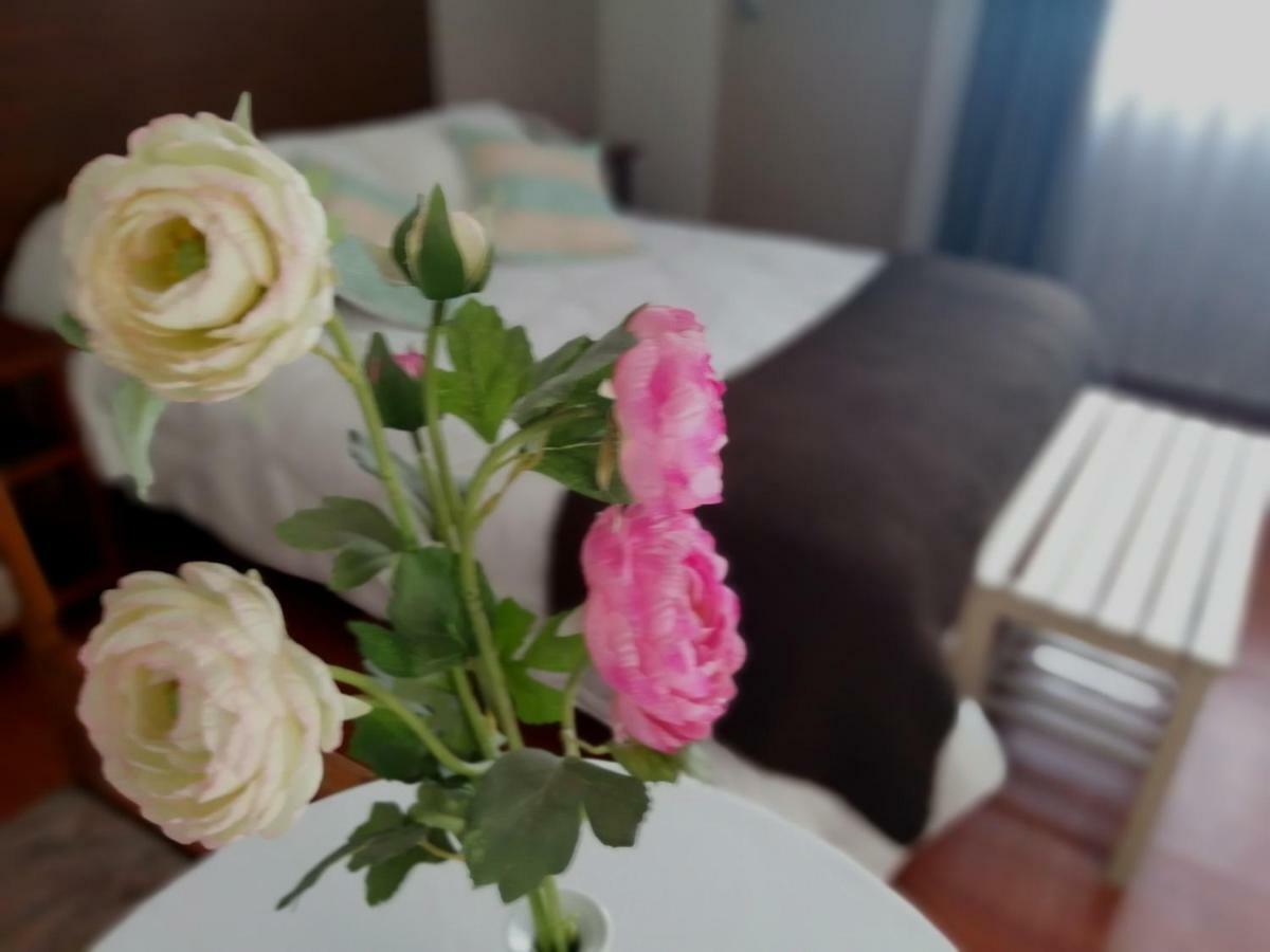 Helena De Santa Maria Hotel Арекуипа Екстериор снимка